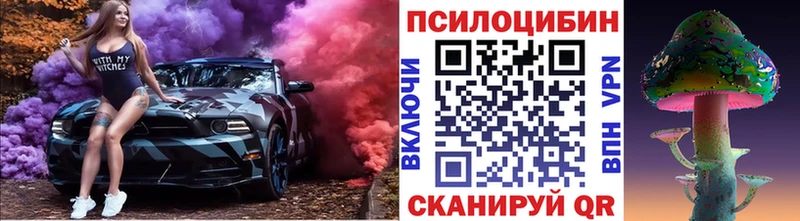 Псилоцибиновые грибы GOLDEN TEACHER  продажа наркотиков  площадка телеграм  Беслан 